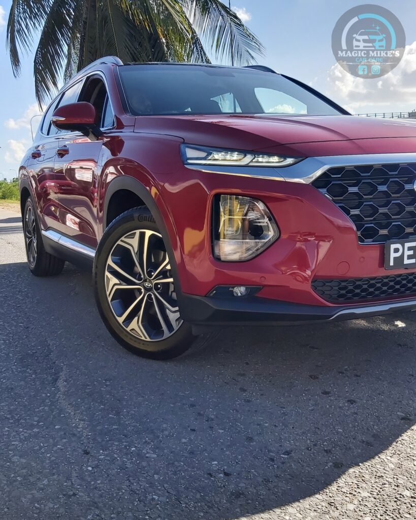 Home home paint protection